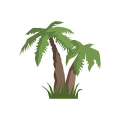 Two Palm Trees Jungle Landscape Element