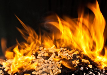  flames wooden pellets, concept ecological alternate fuel, black background 