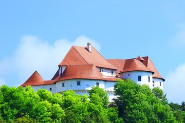 Fototapeta na wymiar Roof of the Castle Veliki Tabor in Croatia