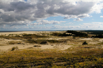Fototapeta na wymiar Woods and dunes of the Curonian Spit