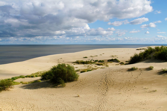 Dunes of the Curonian Spit
