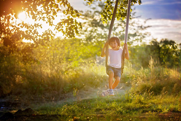 Cute child, boy, having fun on a swing in the backyard