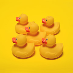 Yellow rubber ducks on yellow background - Minimal design