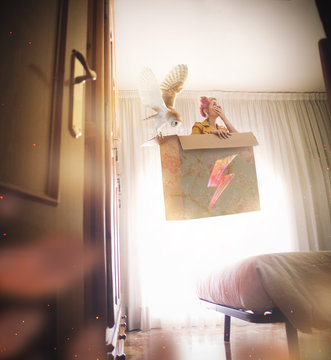 Woman with pink hair levitates in box with owl