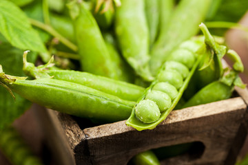 Fresh ripe green peas