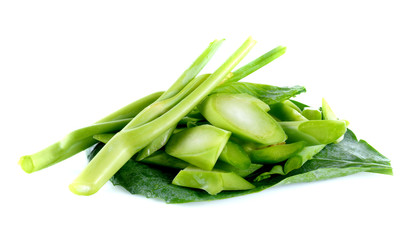 Chinese kale vegetable on white background