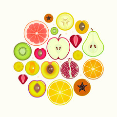 Fruit Slices Round. Vector