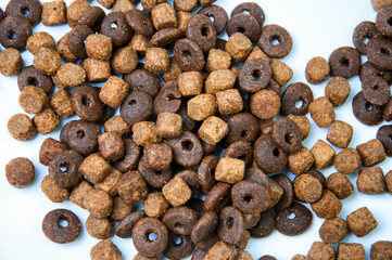 Dog or cat food on white background