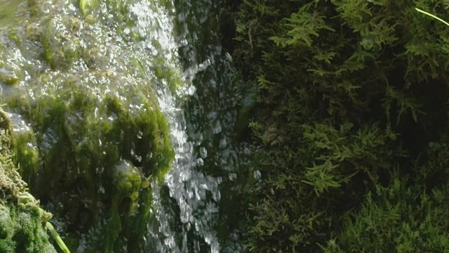 Slow motion close-up of spring water stream pouring through moss, shot or RED Epic Dragon R3D, 240fps
