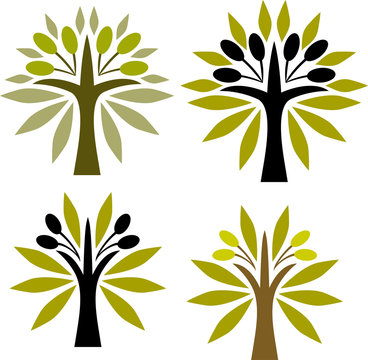 Olive variation
