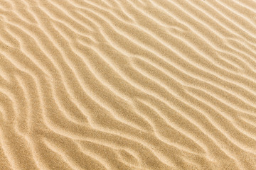 piasek z falami - tekstury piasku na plaży - obrazy, fototapety, plakaty