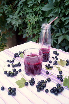Healthy smoothie from berry of blackcurrant vitamin drink, summer desserts concept