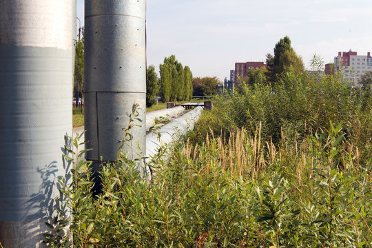 The pipes pass through the grass and bushes. The old tubes and l