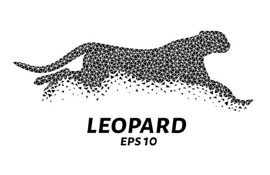 Leopard triangles, particle divergent composition, vector illustration