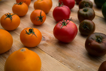 Orange, green and red tomatoes.