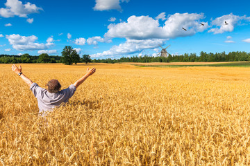 Naklejka na ściany i meble Happy man among the field of ripening wheat