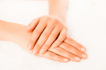 Fototapeta premium Woman's hands with beautiful manicure isolated on white backgrou