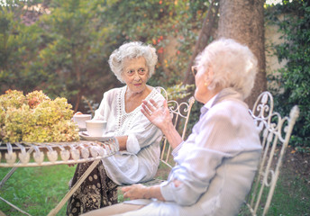 Chatting in the garden