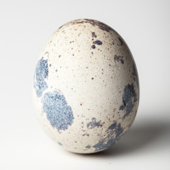 Quail egg on a white background
