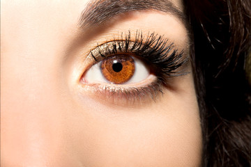 Fototapeta premium Beautiful insightful look brown woman's eyes