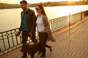 Young couple walking with a dog on street