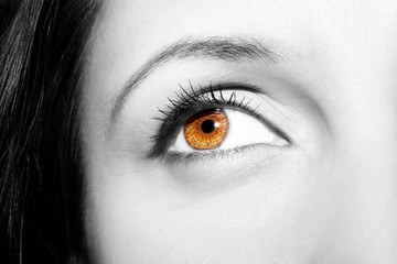 Beautiful insightful look brown woman's eyes