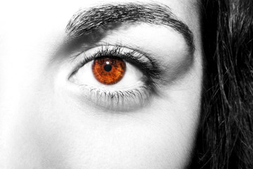 Beautiful insightful look brown woman's eyes