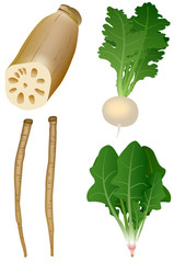 冬の野菜