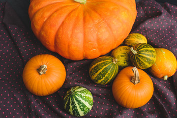 still life of pumpkins