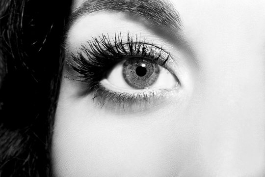 Beautiful insightful look monochrome woman's eyes