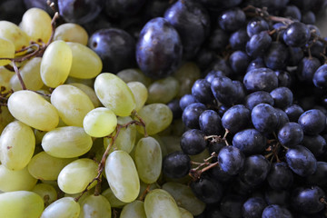 grape, plum, plum blossom, blue, purple, green, berry dessert
