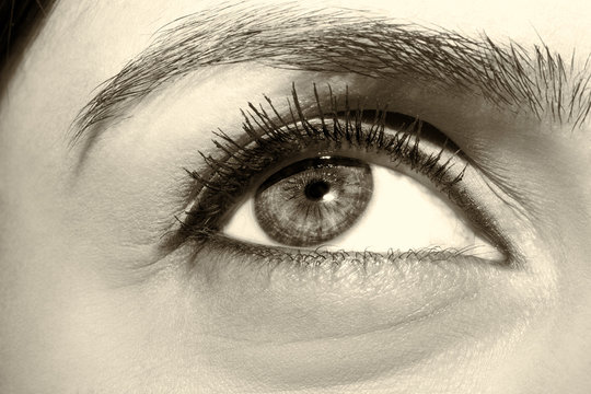Woman  vintage style eye with extremely long eyelashes