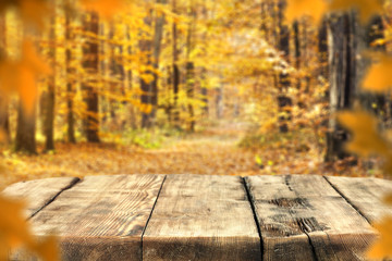 Naklejka na ściany i meble autumn background 
