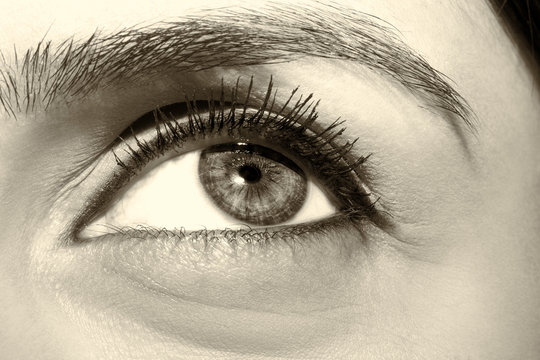 Woman  vintage style eye with extremely long eyelashes