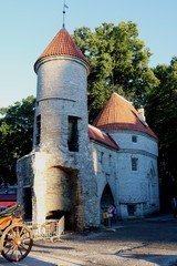 Turm in der Altstadt in Tallinn, Estland