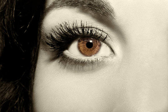 Beautiful insightful look vintage  woman's eyes
