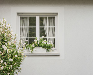 Modernes hellgraues Kunststofffenster mit Sprossen im Isolierglas - Modern grey PVC window with sprouts in insulating glass