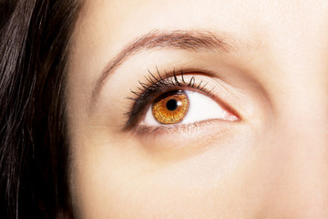 Beautiful insightful look brown woman's eyes