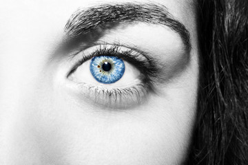 Beautiful insightful look  blue woman's eyes