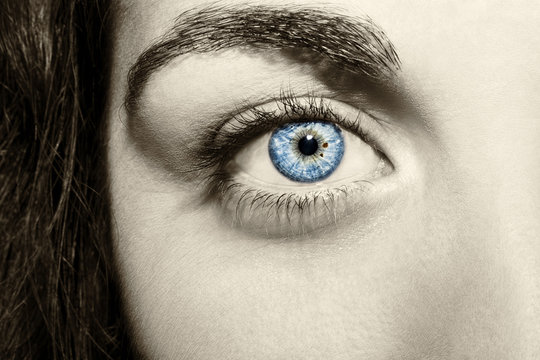 Beautiful insightful look  blue vintage woman's eyes
