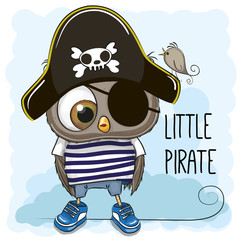 Little Owl Pirate