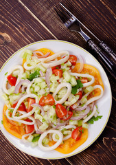 Squid, tomato, onion and greens salad. View from above, top studio shot