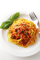 スパゲッティ ボロネーゼ　Spaghetti bolognese