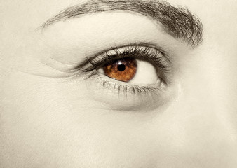 Beautiful insightful look monochrome woman's eye