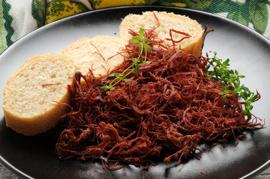 Sfilacci di cavallo Equus caballus Hauspferd 