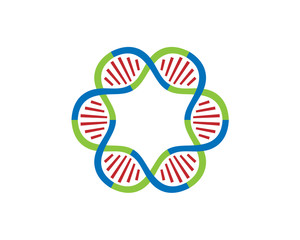 DNA strands Loop 6 parts
