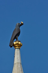 Raven on top of Matthias bell tower - Budapest