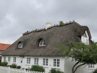 Fototapeta na wymiar Traditional Thatched House