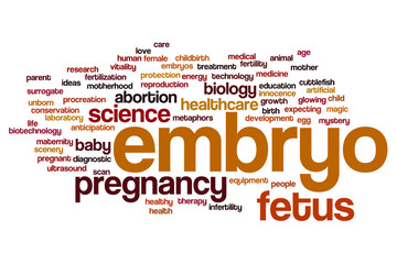 Embryo word cloud