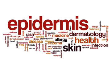 Epidermis word cloud